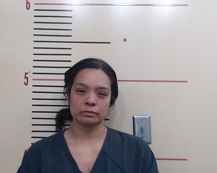 HERNANDEZ, HERLINDA NAVA arrested by Azle Police Department