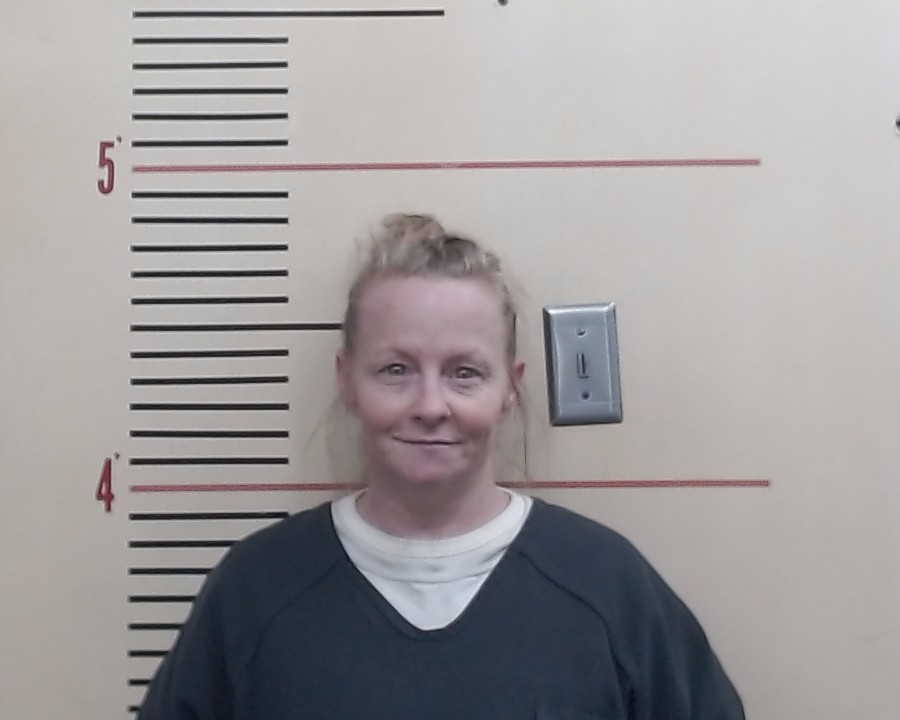 DUNN, BRANDY DAWN booking photo