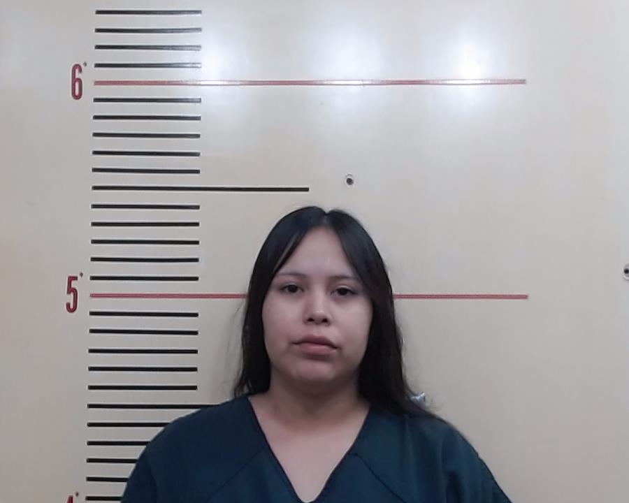 CHEE, REANTHA booking photo