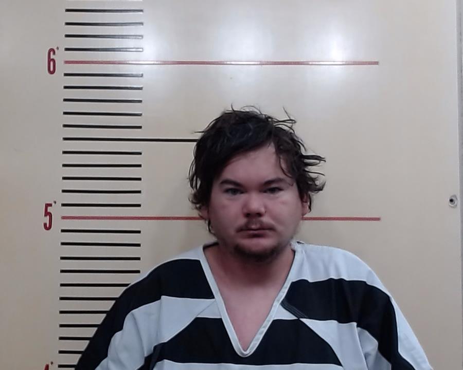 BRANSON, BRANDON ALAN booking photo