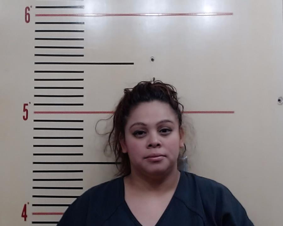 ALVARADO, LAURIE MICHELLE arrested by Parker County Sheriff’s Office