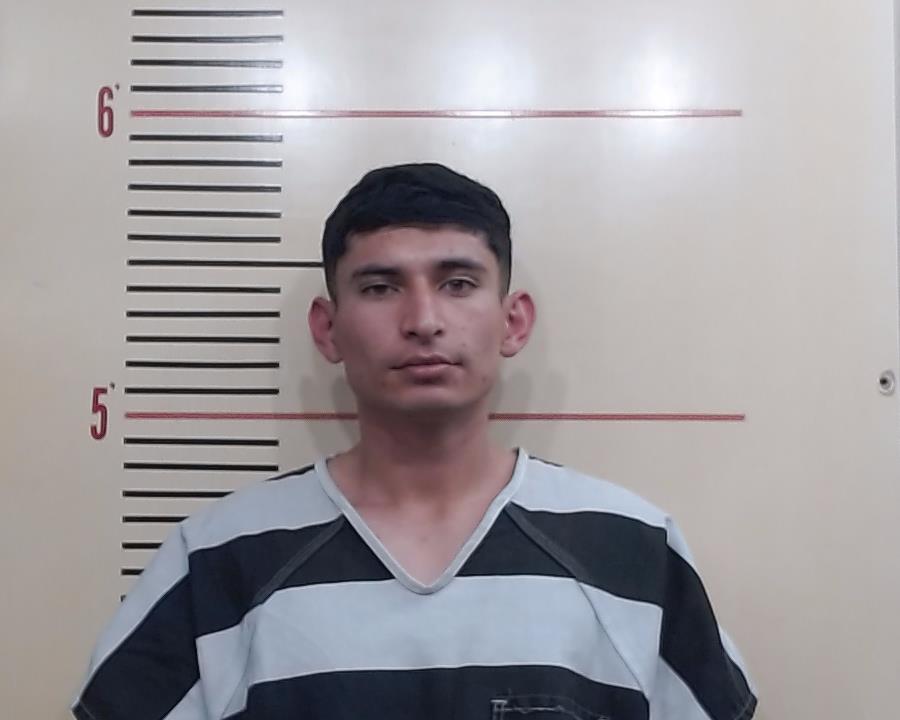 HERNANDEZ, HAREL GABINO arrested by Department of Public Safety