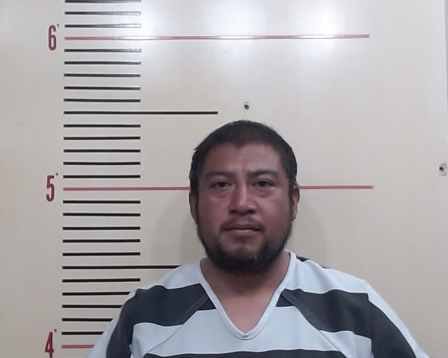 DOMINGUEZ CRUZ, VICTOR ALFONSO booking photo