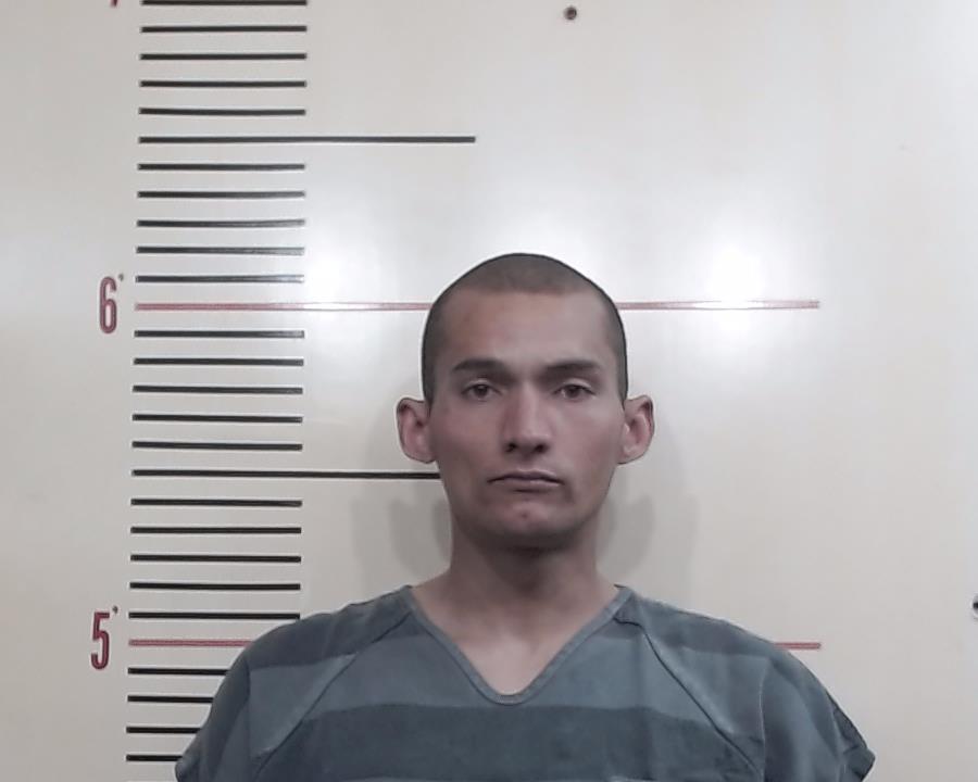 Gray, Devon James booking photo