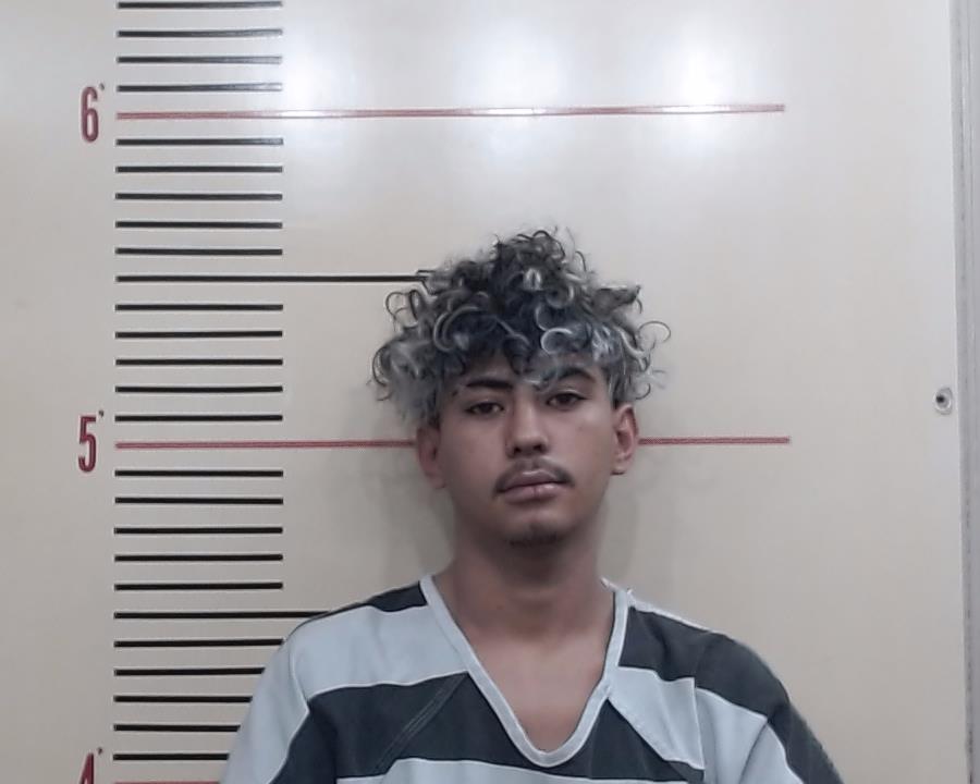 GONZALES-MEJIA, EMILSO MISAEL booking photo