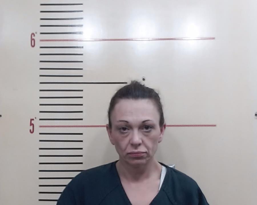 BURDETT, TASHA LOUISE booking photo
