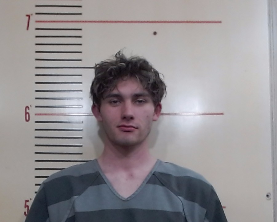 ALLEN, JACOB RILEY arrested by Department of Public Safety