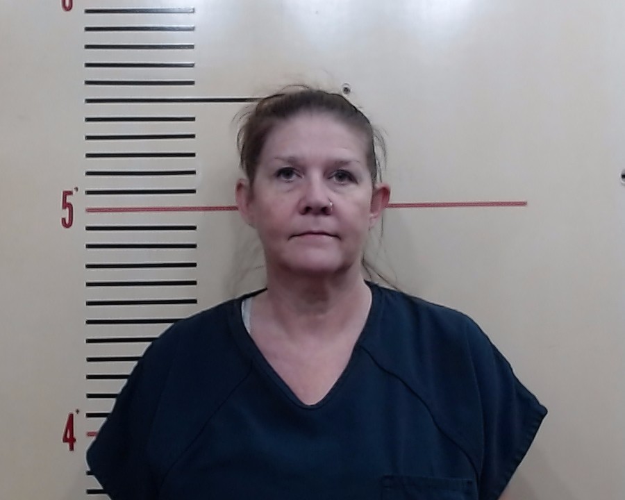 David, Alyssa Shannon booking photo