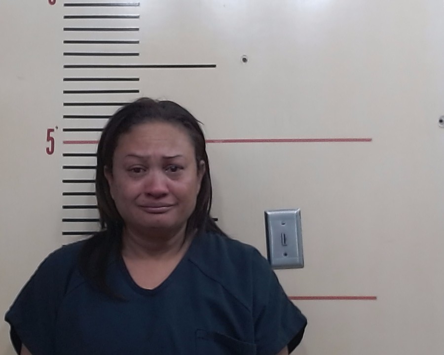 DIAZ PINA, KARELIS COROMOTO booking photo