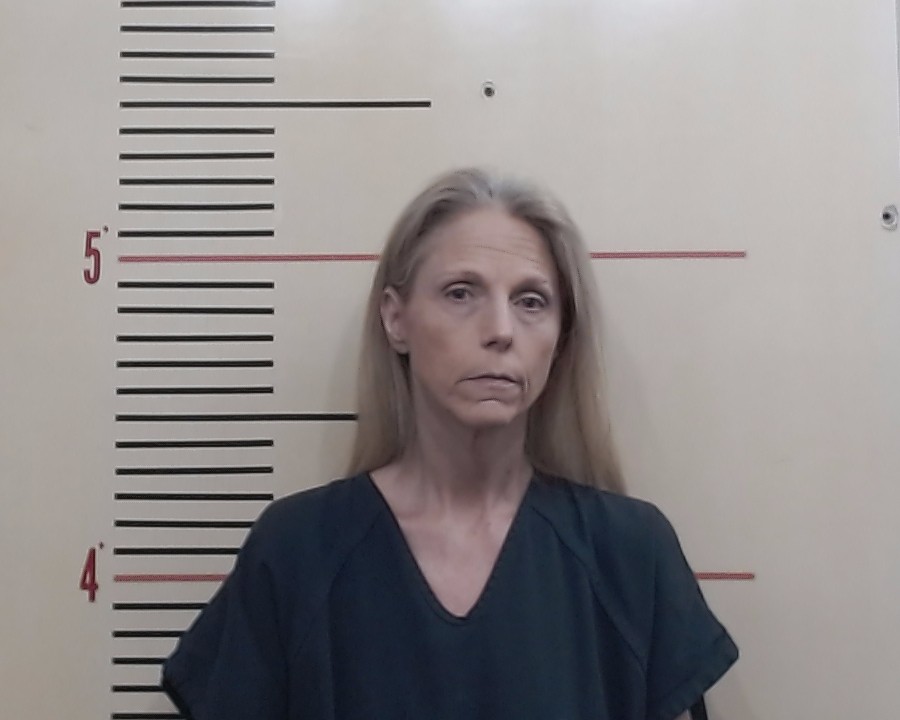 CLEM, JOYCE ANN booking photo