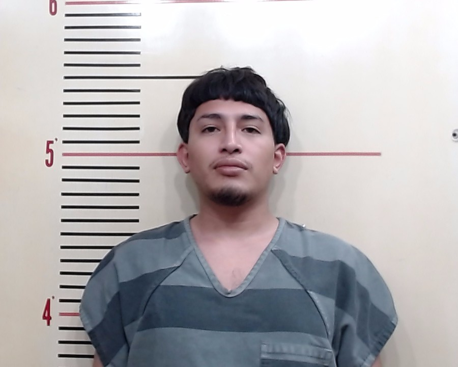 BECERRA, ALAN booking photo