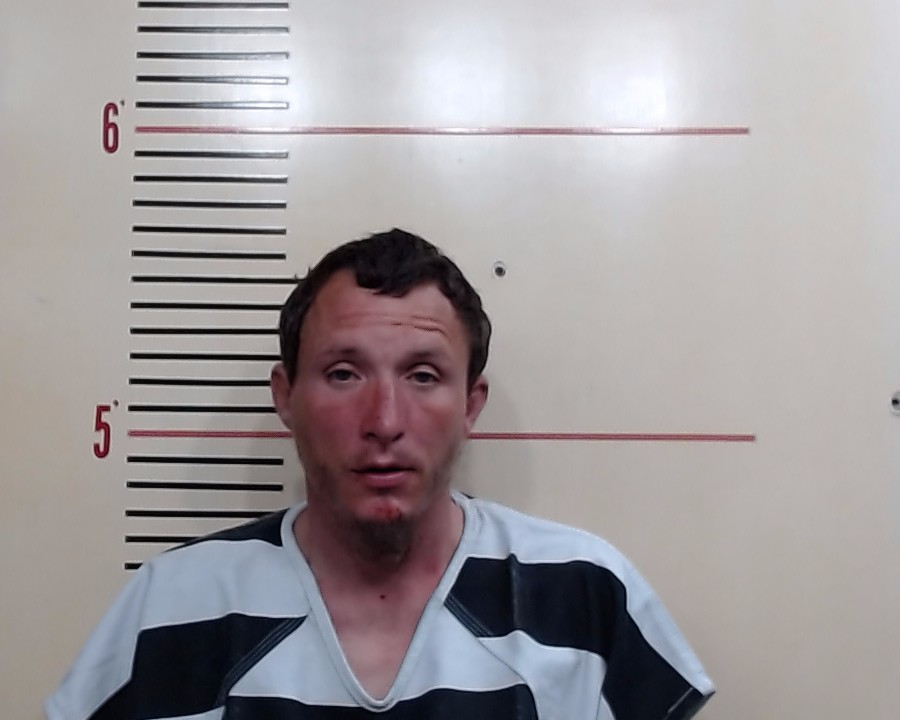 HARMON, WILLIAM HENRY booking photo