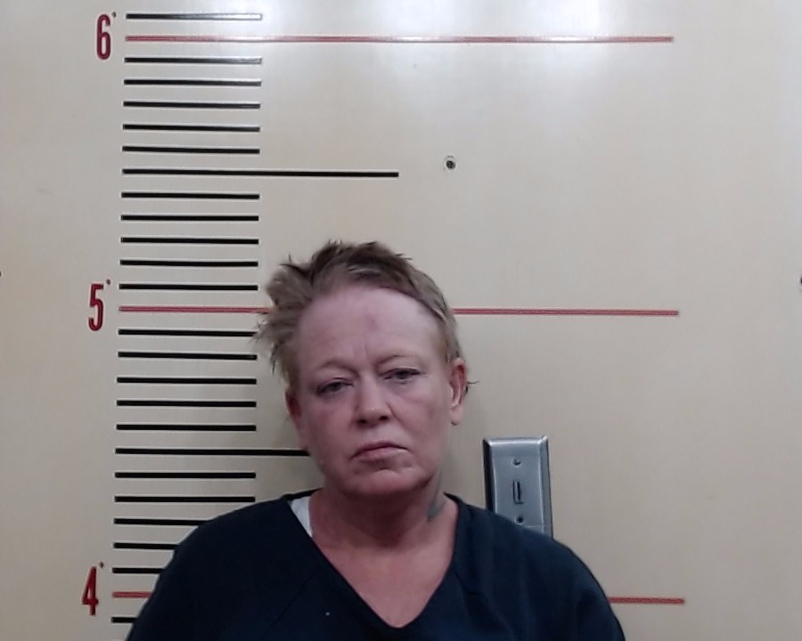 GIBSON, GAYLA LYNN booking photo