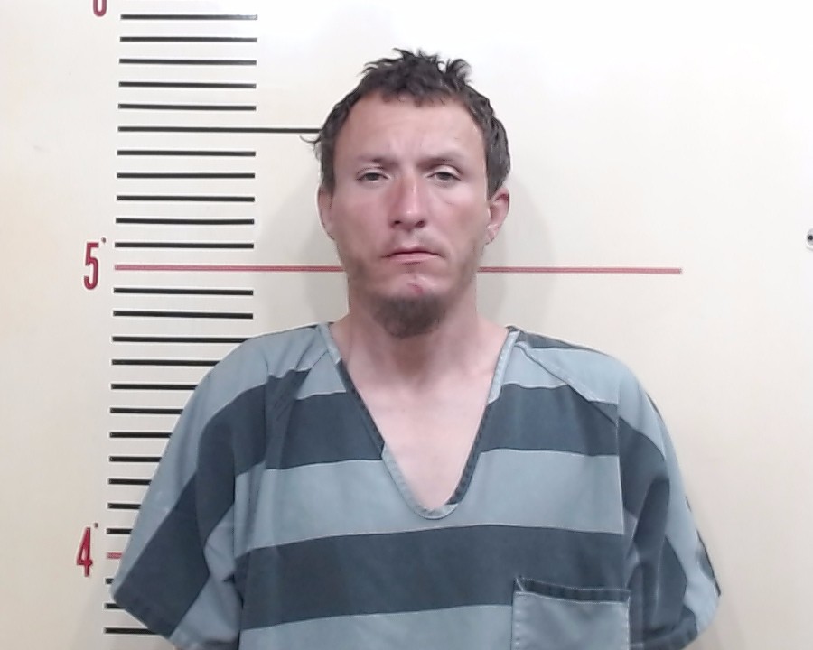 HARMON, WILLIAM HENRY booking photo