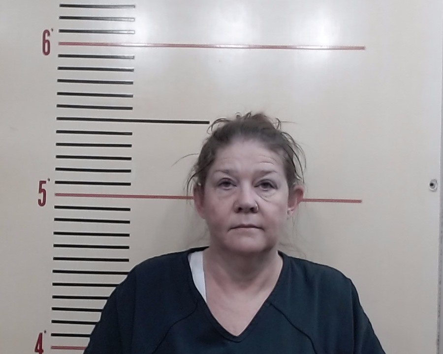 DAVID, ALYSSA SHANNON booking photo