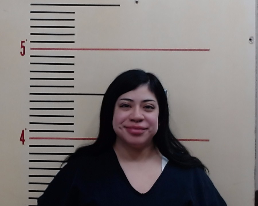 BENAVIDES, PHYLISHA NICOLE booking photo