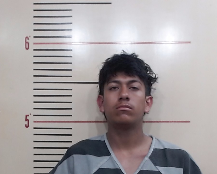 HERNANDEZ, JEOVANNI booking photo