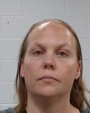 Bryson, Elizabeth Joyce booking photo
