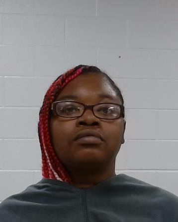 Jenkins, Dixie Ruth booking photo