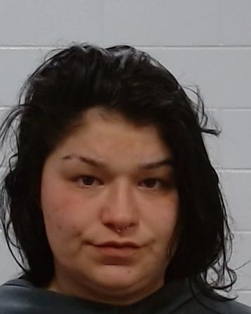 Briceno, Theadosia Susan arrested by Collin County SO