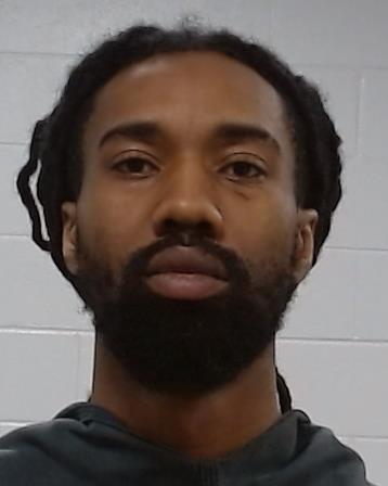 Hamilton, Lael Jannan booking photo