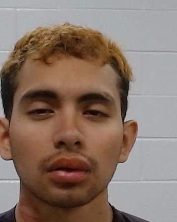 Navarro, Emmanuel booking photo