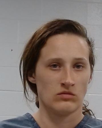 Bray, Stephanie Julia arrested by Collin County SO