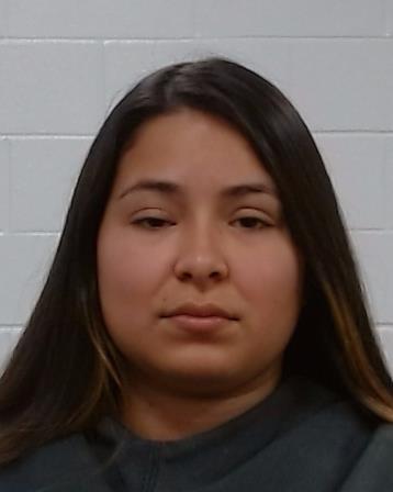 Mijares, Desteny Herrera booking photo