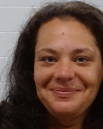 Rosell, Dana Elizabeth booking photo