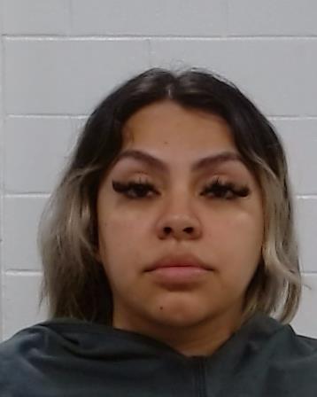 Perez, Michelle Cecilia booking photo