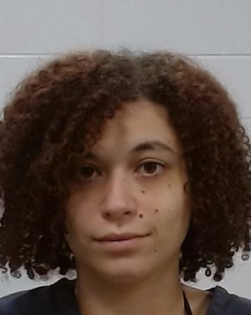 SMITH, VANNESSA MICHELLE booking photo