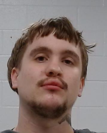 Sullivan, Dawson Ray booking photo