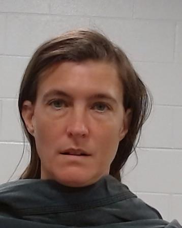Wermuth, Heidi Ann booking photo