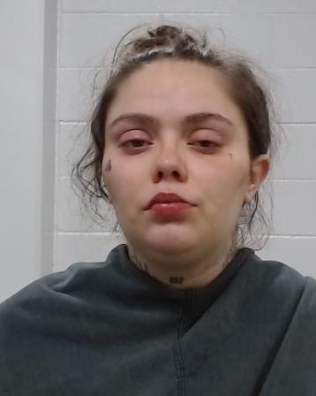 Heifner, Noelle Lenice booking photo