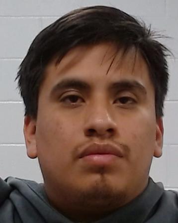 Velasco Mendoza, ALAN booking photo