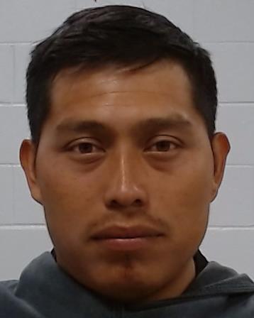 Perez Gomez, Luis Gustavo booking photo