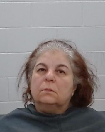 Khedairy, Shireen booking photo