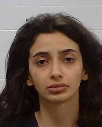 Abdel Hafez, Nadin booking photo