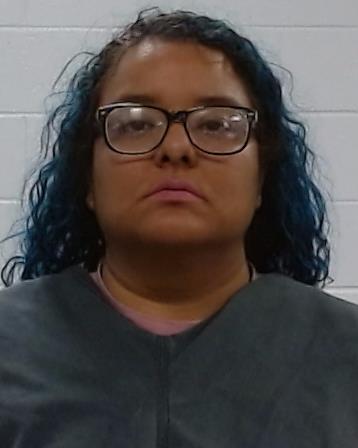 Ochoa, Elideth Sanchez booking photo