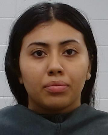 Guevara Guzman, Noemi Yamiletn booking photo