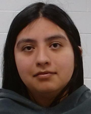 Toledo, Pamela Grace booking photo