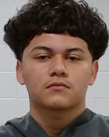 Vargas-Mendoza, Yesi Ariel booking photo