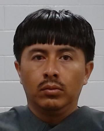 Galvan, Silvestre booking photo