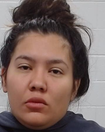 ALONSO-SANCHEZ, YOLANDA MARIA booking photo