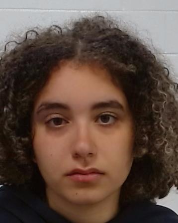 Sabir, Hajar booking photo