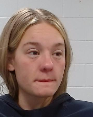 Carel, Vivian Ruth arrested by Collin County SO