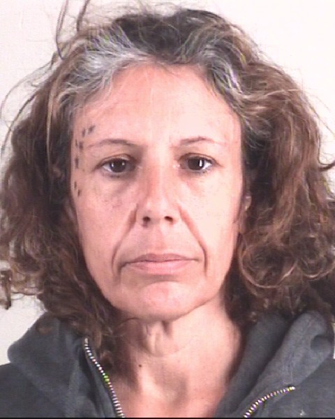 DANIELLA DOMINGIOS booking photo