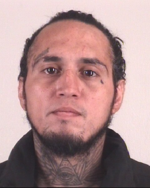 JESSE LUNA booking photo