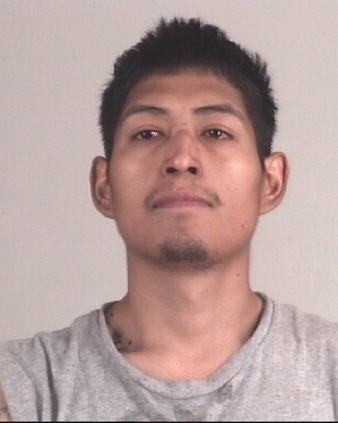 DAVID FLORES booking photo