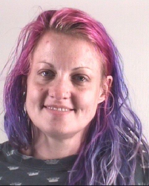 ASHLIE LARSON booking photo